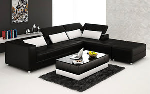 Erial Modern Leather Sectional