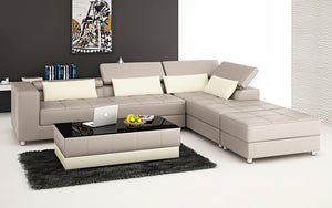 Erial Modern Leather Sectional