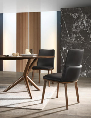 Alixender Modern Dining Chair(set of 2)